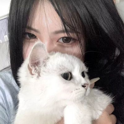 至尊特戒游戏下载