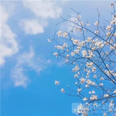武林群侠传手机完整版下载