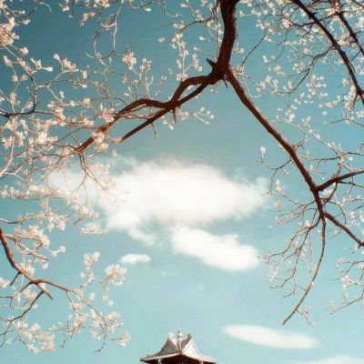 荒野大乱斗百度游客登录版下载
